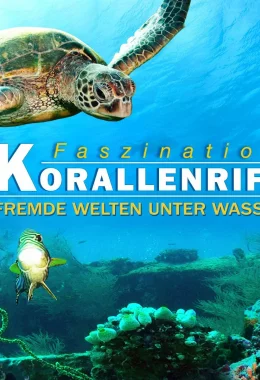 Кораловий риф: дивовижні підводні світи дивитися українською онлайн HD якість