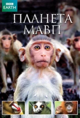 Планета мавп дивитися українською онлайн HD якість