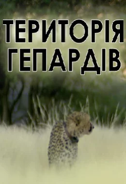 Територія гепардів дивитися українською онлайн HD якість